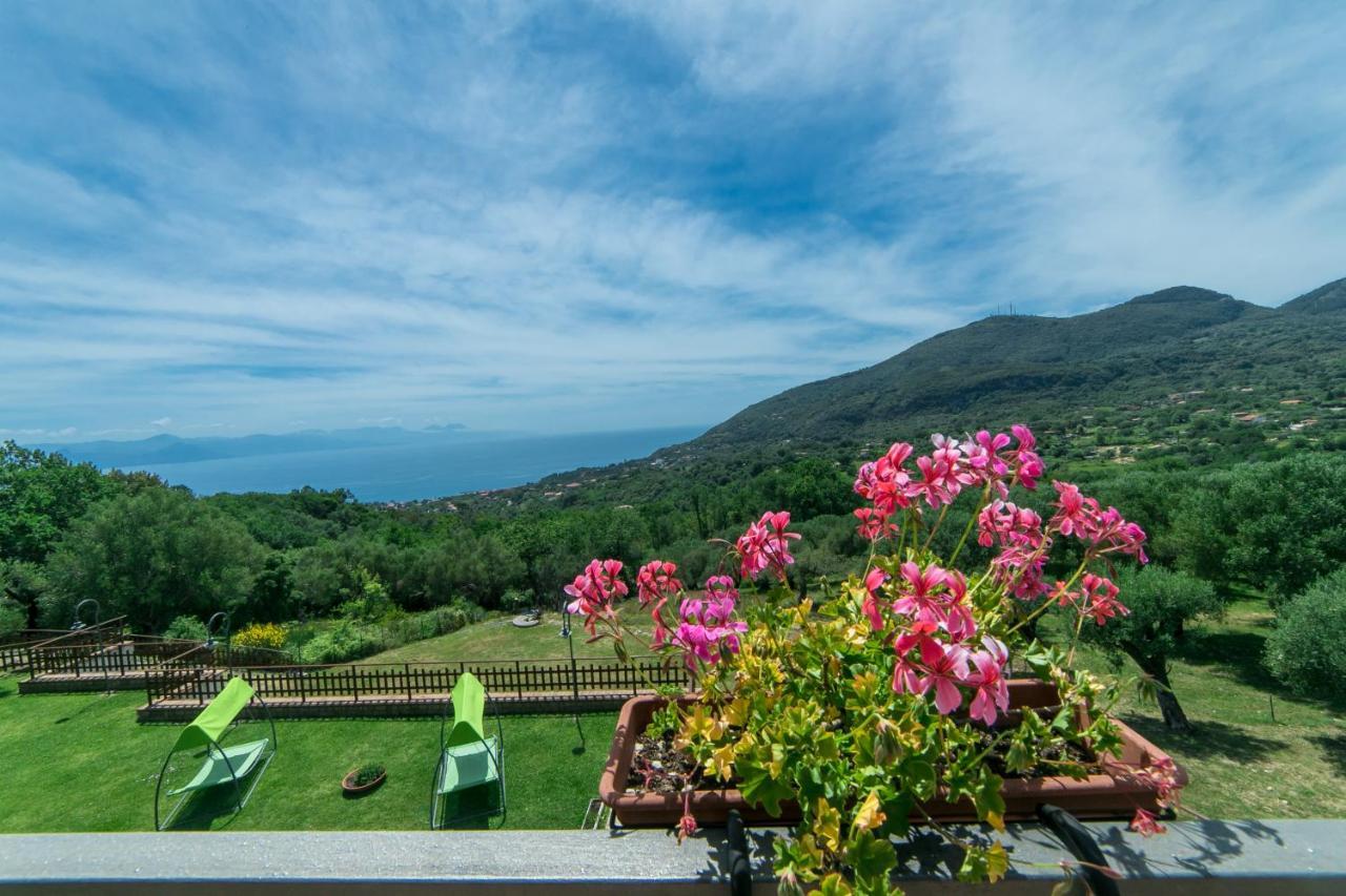Al Boschetto Appartement Scario Buitenkant foto