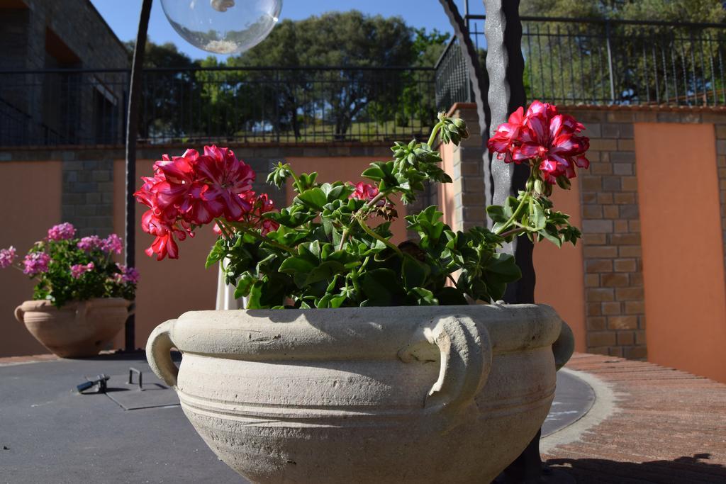 Al Boschetto Appartement Scario Buitenkant foto