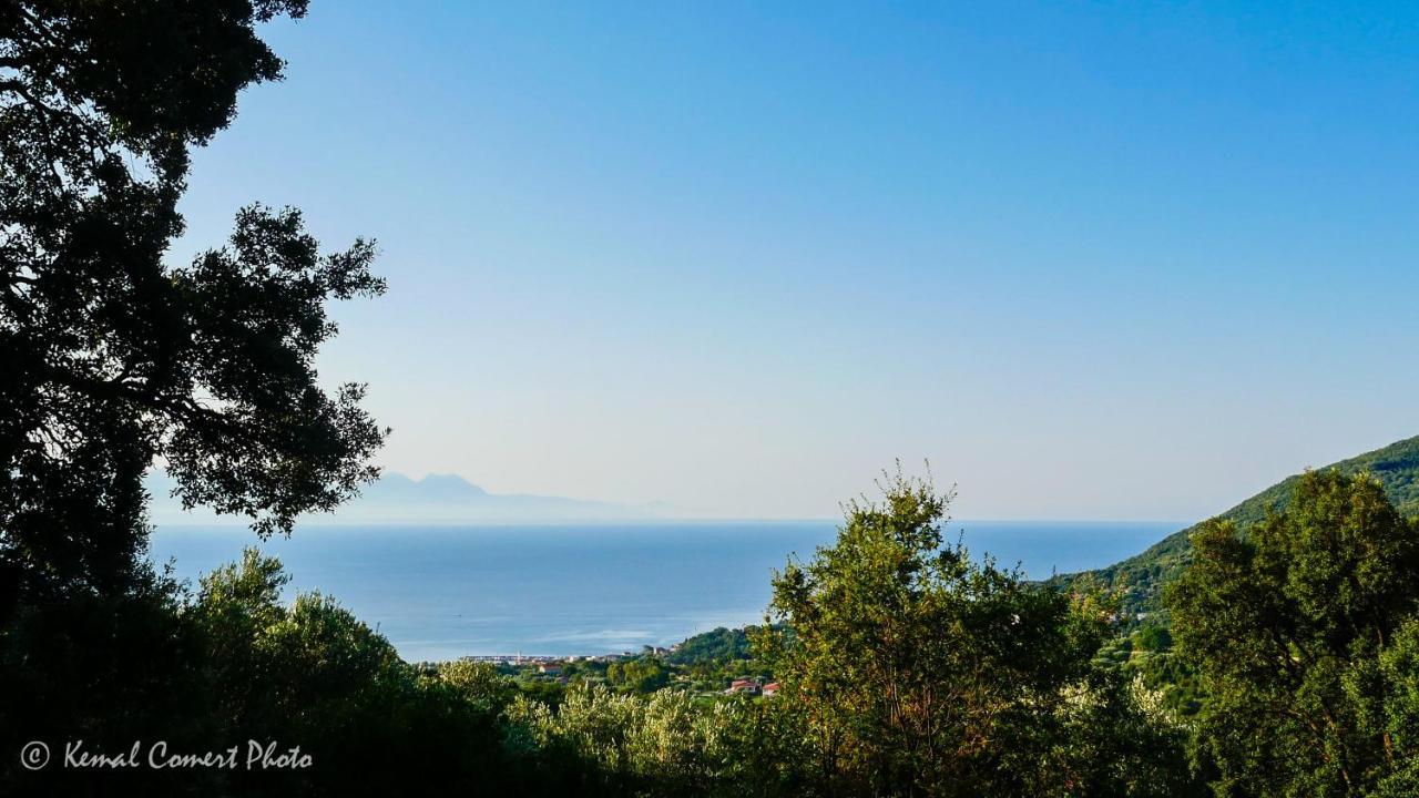 Al Boschetto Appartement Scario Buitenkant foto