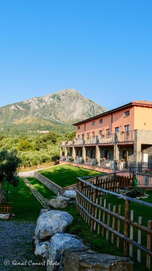 Al Boschetto Appartement Scario Buitenkant foto
