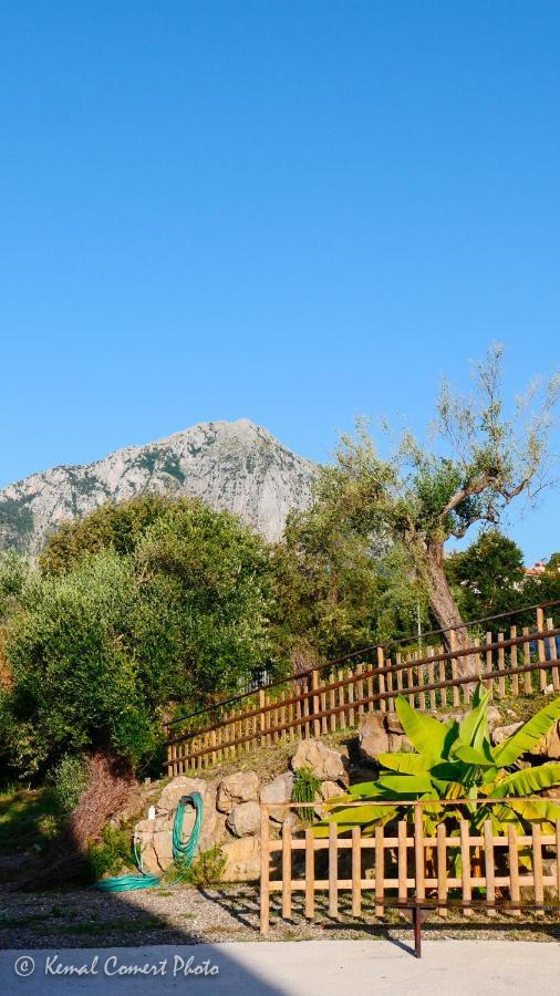 Al Boschetto Appartement Scario Buitenkant foto